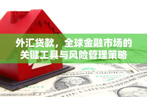 阿克塞外汇贷款，全球金融市场的关键工具与风险管理策略