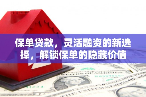 阿克塞保单贷款，灵活融资的新选择，解锁保单的隐藏价值