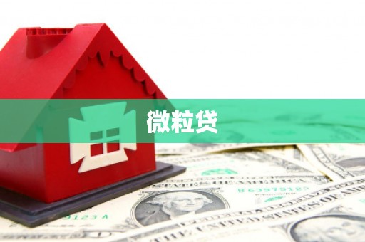 阿克塞微粒贷