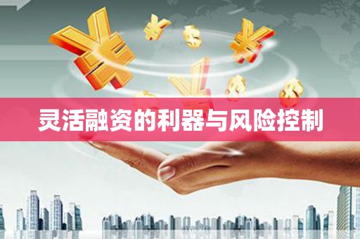 阿克塞灵活融资的利器与风险控制