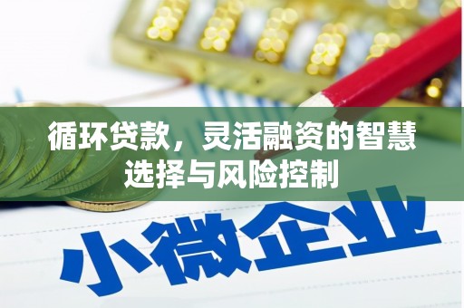 阿克塞循环贷款，灵活融资的智慧选择与风险控制