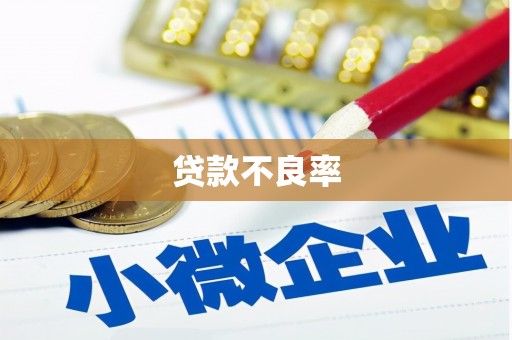 阿克塞贷款不良率