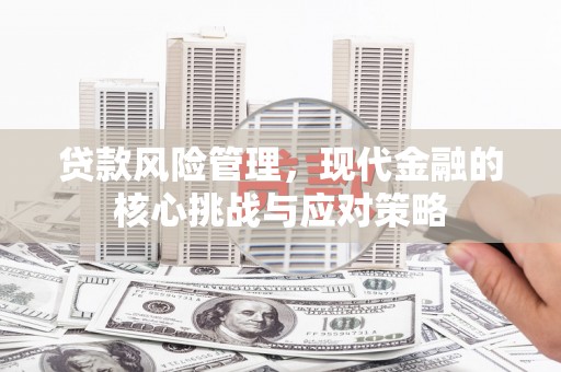 阿克塞贷款风险管理，现代金融的核心挑战与应对策略