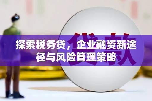 阿克塞探索税务贷，企业融资新途径与风险管理策略