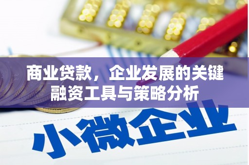 阿克塞商业贷款，企业发展的关键融资工具与策略分析
