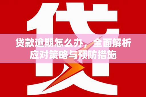 阿克塞贷款逾期怎么办，全面解析应对策略与预防措施