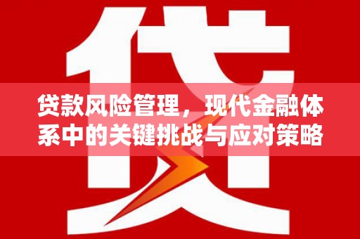阿克塞贷款风险管理，现代金融体系中的关键挑战与应对策略