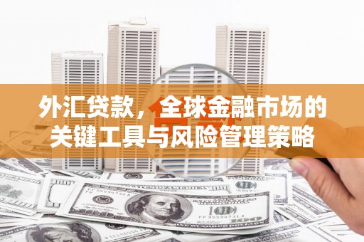阿克塞外汇贷款，全球金融市场的关键工具与风险管理策略