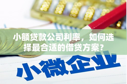 阿克塞小额贷款公司利率，如何选择最合适的借贷方案？