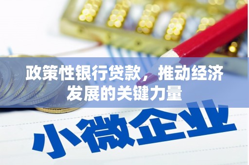 阿克塞政策性银行贷款，推动经济发展的关键力量
