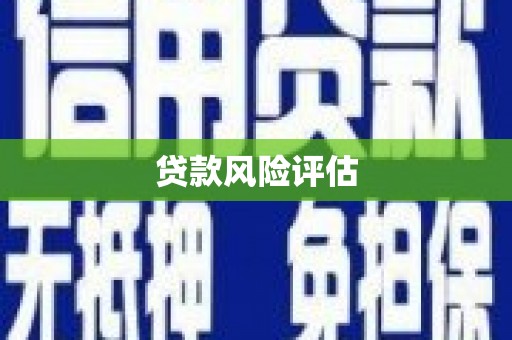 阿克塞贷款风险评估