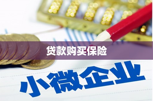 阿克塞贷款购买保险
