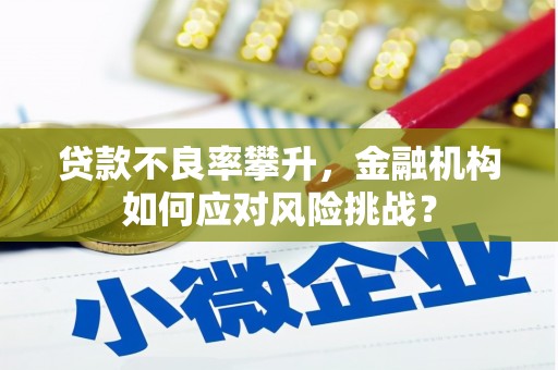 阿克塞贷款不良率攀升，金融机构如何应对风险挑战？