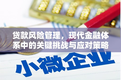 阿克塞贷款风险管理，现代金融体系中的关键挑战与应对策略