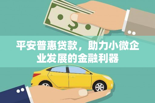 阿克塞平安普惠贷款，助力小微企业发展的金融利器