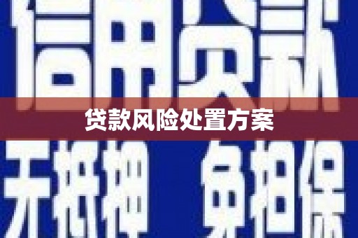 阿克塞贷款风险处置方案